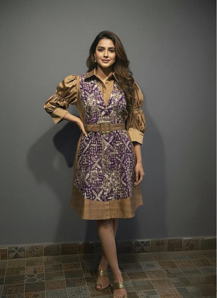 Brown Collared Dress